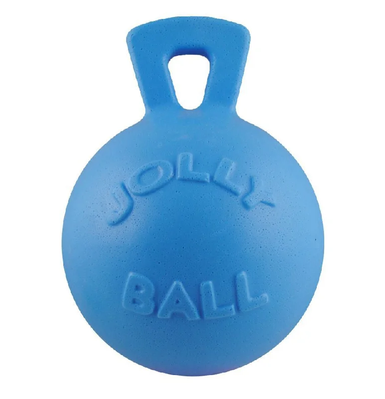 - Hamster toy recommendationsBlueberry Tug n Toss Jolly Ball with Handle 6"