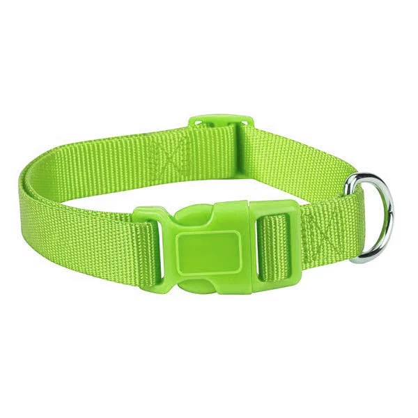 - Dog toy recommendationsParrot Green Fashion Nylon Adjustable Dog Collar