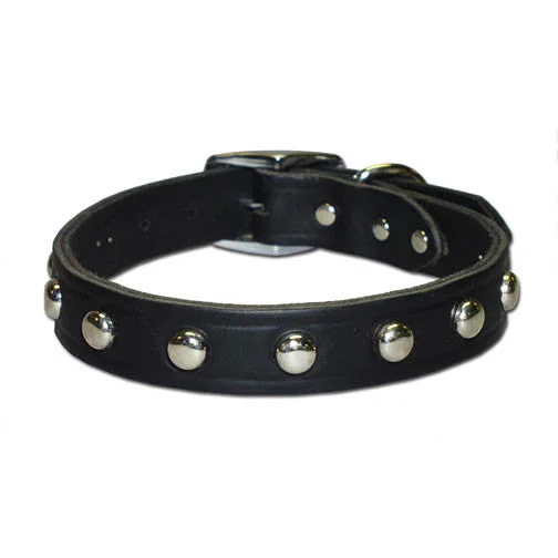 - Precautions for using pet toysBlack Leather Studded Dog Collar