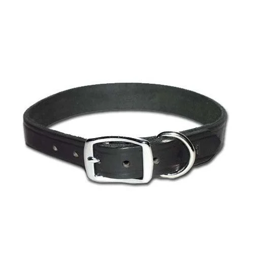 - Dog toy recommendationsPremium Black Latigo Stitched Leather Dog Collar