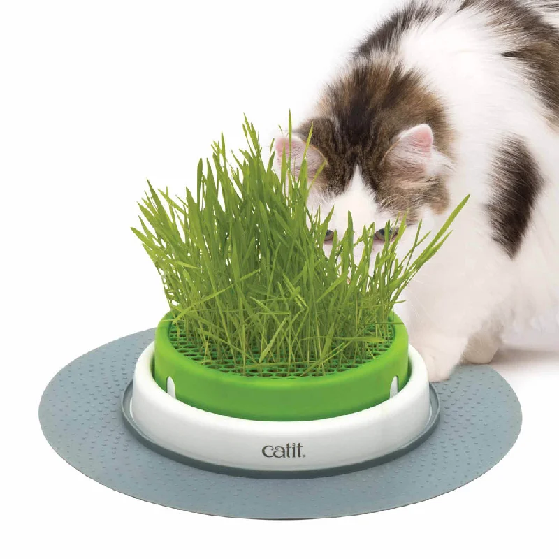 - Air box TSA certified check-inCatit 2.0 Senses Grass Planter