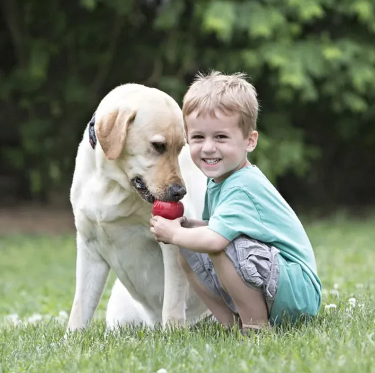 - Pet fence foldable indoorDog Teething Toy