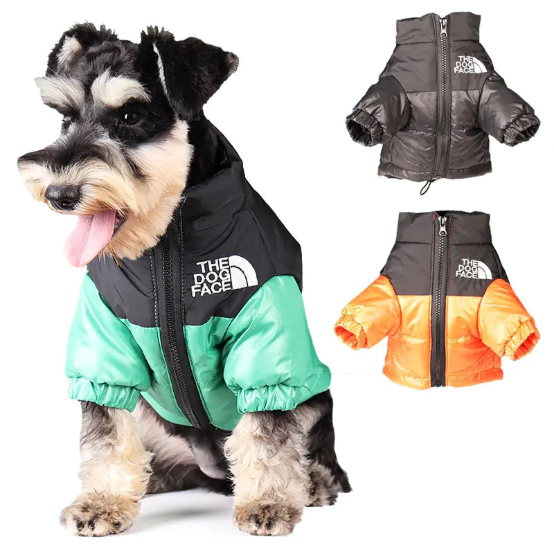 - Foldable and portable cat bagWindproof Reflective Dog Jacket