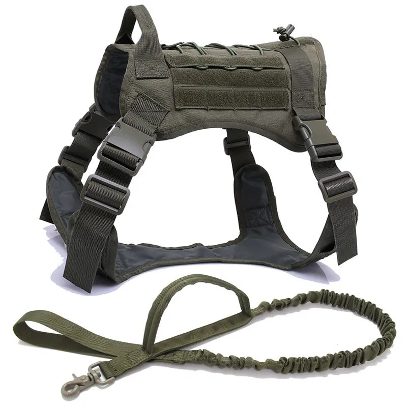 RG Harness and Leash