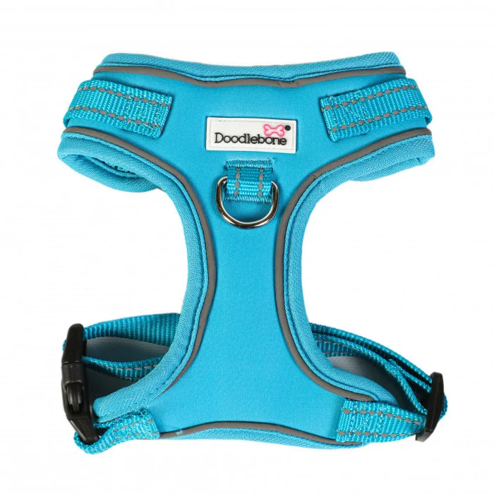 - Elderly dog ​​joint care mattressDoodlebone Adjustable Airmesh Dog Harnesses Aqua 5 Sizes