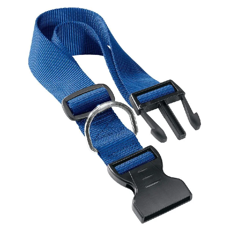 Pet toysFerplast Club C 10/32 Nylon Collar Blue