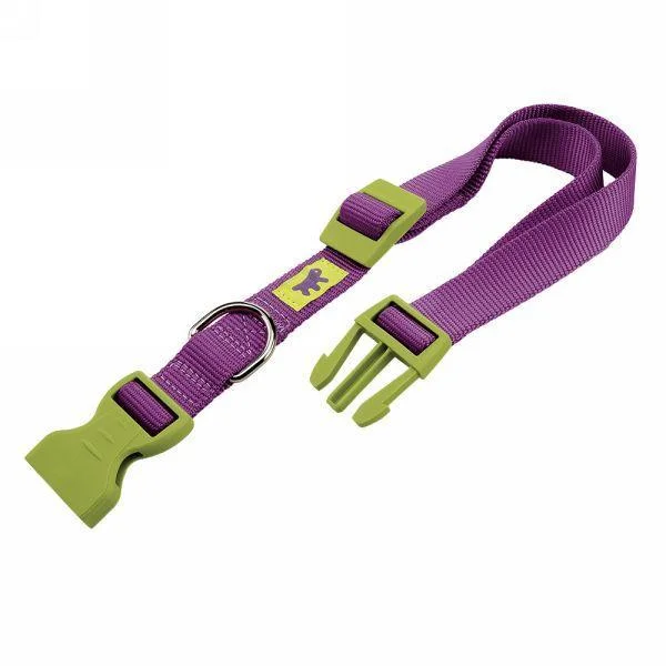 - How to choose pet toysFerplast Club C 10/32 Nylon Collar Purple